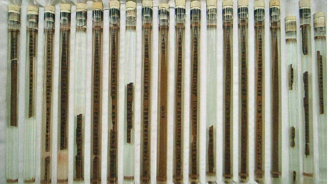 有点儿意思！古代保密智慧超乎你的想象！