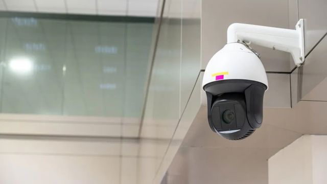 热知识！你该怎么抓特务